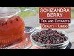 Видео обзор на Dragon Herbs, Лимонник 500 мг, Schizandra 500 mg, 100 капсул
