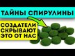 Видео обзор на Vimergy, Спирулина, Spirulina, 180 капсул