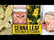 Видео обзор на Nature's Way, Сенна 450 мг, Senna Leaves 450 mg, 100 капсул