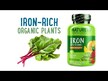 Видео обзор на Naturelo, Железо, Iron 25 mg, 90 капсул