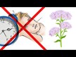 Видео обзор на Валериана и Хмель, Sleep Relax with Valerian & Hops, 90 капсу