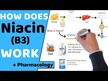 Видео обзор на Bluebonnet Nutrition, Ниацин 500 мг, Niacin 500 mg, 120 капсул
