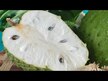 Відео огляд на Ultimate Omega Tropical Fruit 600 mg, Омега 3, 54 Gummy Chews