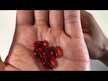 Відео огляд на Olympian Labs, Krill Oil 1000 mg, Масло Кріля 1000 мг, 60 капсул