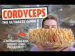 Видео обзор на Host Defense Mushrooms, Грибы Кордицепс, Cordyceps, 120 капсул