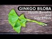 Відео огляд на Super Ginkgo Biloba + Gotu Kola 100, Гінкго Білоба, 100 капсул