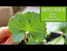 Nature's Way, Gotu Kola Herb 475 mg, Готу Кола 475 мг, 180 капсул