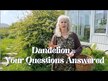 Відео огляд на Nature's Answer, Dandelion 2000 mg, Кульбаба 2000 мг, 30 мл