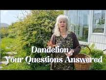 Nature's Answer, Dandelion Alcohol Free 2000 mg