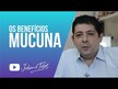 Видео обзор на Мукуна, Mucuna Pruriens 200 mg, 60 капсул
