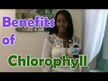 Видео обзор на World Organic, Хлорофилл, Liquid Chlorophyll 100 mg, 474 мл