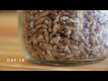 Видео обзор на Грибы Львиная грива, Mushroom Lion's Mane Mycelium Powder, 1