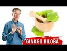 Natural Factors, Ginkgo Biloba Phytosome 60 mg