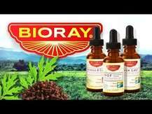 Bioray, Artemisia & Clove