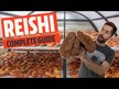 Видео обзор на Host Defense Mushrooms, Грибы Рейши, Reishi, 60 капсул