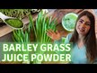 Видео обзор на Vimergy, Ячмень, Barley Grass Juice Powder, 240 капсул