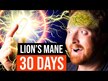 Видео обзор на Грибы Львиная грива, Lion's Mane, 30 капсул