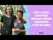 Відео огляд на Om Mushroom Superfood, Mushroom Powder Reishi, Гриби Рейші, 200 г