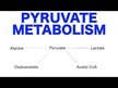 Відео огляд на NOW, Pyruvate 600 mg, Піруват кальцію 600 мг, 100 капсул