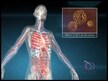 Видео обзор на Jarrow Formulas, Бета-глюкани, Beta Glucan, 60 капсул