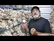 Видео обзор на Host Defense Mushrooms, Грибы Майтаке, Maitake, 120 капсул