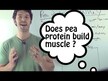 Видео обзор на Source Naturals, Гороховый протеин, Pea Protein, 907 г