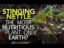 Nature's Answer, Nettle 2000 mg