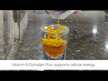 Видео обзор на Магний Треонат, Lypo-Spheric Magnesium L-Threonate, 30 шт