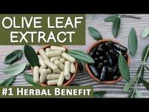 Gaia Herbs, Olive Leaf, Екстракт листя оливи, 120 капсул