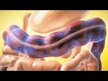 Відео огляд на NutraChamps, Colon Cleanse, Підтримка кишечника, 28 капсул