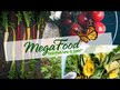 Видео обзор на MegaFood, Цинк, Zinc Promotes Immune Health, 60 таблеток
