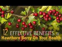 Hawthorn Berries 510 mg, Ягоди Глоду 510 мг, 180 капсул