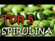 Видео обзор на NOW, FOS Инулин в порошке, Inulin Prebiotic Pure Powder, 227 г