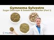 Видео обзор на Standardized Gymnema Leaf Extract Alcohol-Free, Джимнема Сильвест