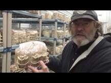 Host Defense Mushrooms, Грибы Хвост Индейки, Turkey Tail, 100 г