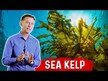 Видео обзор на Dr. Berg, Ламинария, Sea Kelp Enhanced Iodine, 90 капсул