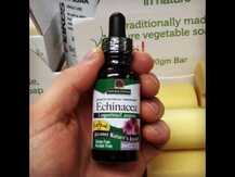 Nature's Answer, Echinacea & Astragalus 1425 mg