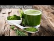 Видео обзор на Vimergy, Ячмень, Barley Grass Juice Powder, 250 г