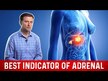 Відео огляд на Adrenal & Cortisol Support, Підтримка наднирників, 60 капсул