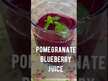 Видео обзор на Blueberry Extract with Pomegranate, Голубика с Гранатом, 60 капсу