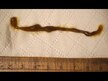 Відео огляд на NOW, Green Black Walnut Wormwood Complex, Полин, 60 мл