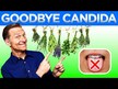 Видео обзор на Healths Harmony, Поддержка Кандиды, Candida Complex, 120 капсул