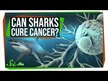 Відео огляд на BioTherapies, Shark Cartilage, Шарк картіладж, 180 капсул