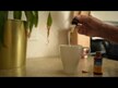 Видео обзор на Herb Pharm, Пассифлора, Passionflower, 120 мл