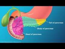 Nutricology, Pancreas Natural Glandular Pork