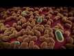 Відео огляд на Prodentis For Gums and Teeth, Лактобактерії Реутері, 5 мл