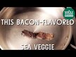 Видео обзор на Cenalga, Водоросли Дульсе, Dulse Whole Leaf, 42.5 г
