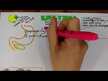 Видео обзор на Пищеварительные ферменты, Digest Complete Enzyme, 30 капсул