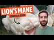 Видео обзор на Грибы Львиная грива, Lion's Mane Extract, 30 мл