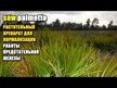 Видео обзор на Doctor's Best, Со Пальметто, Saw Palmetto, 180 капсул